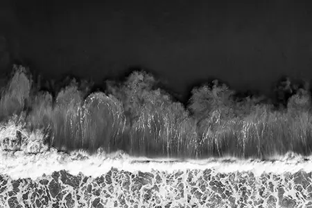 Wave