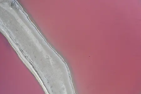DJI_0130