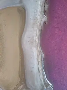 DJI_20240715173153_0892_D