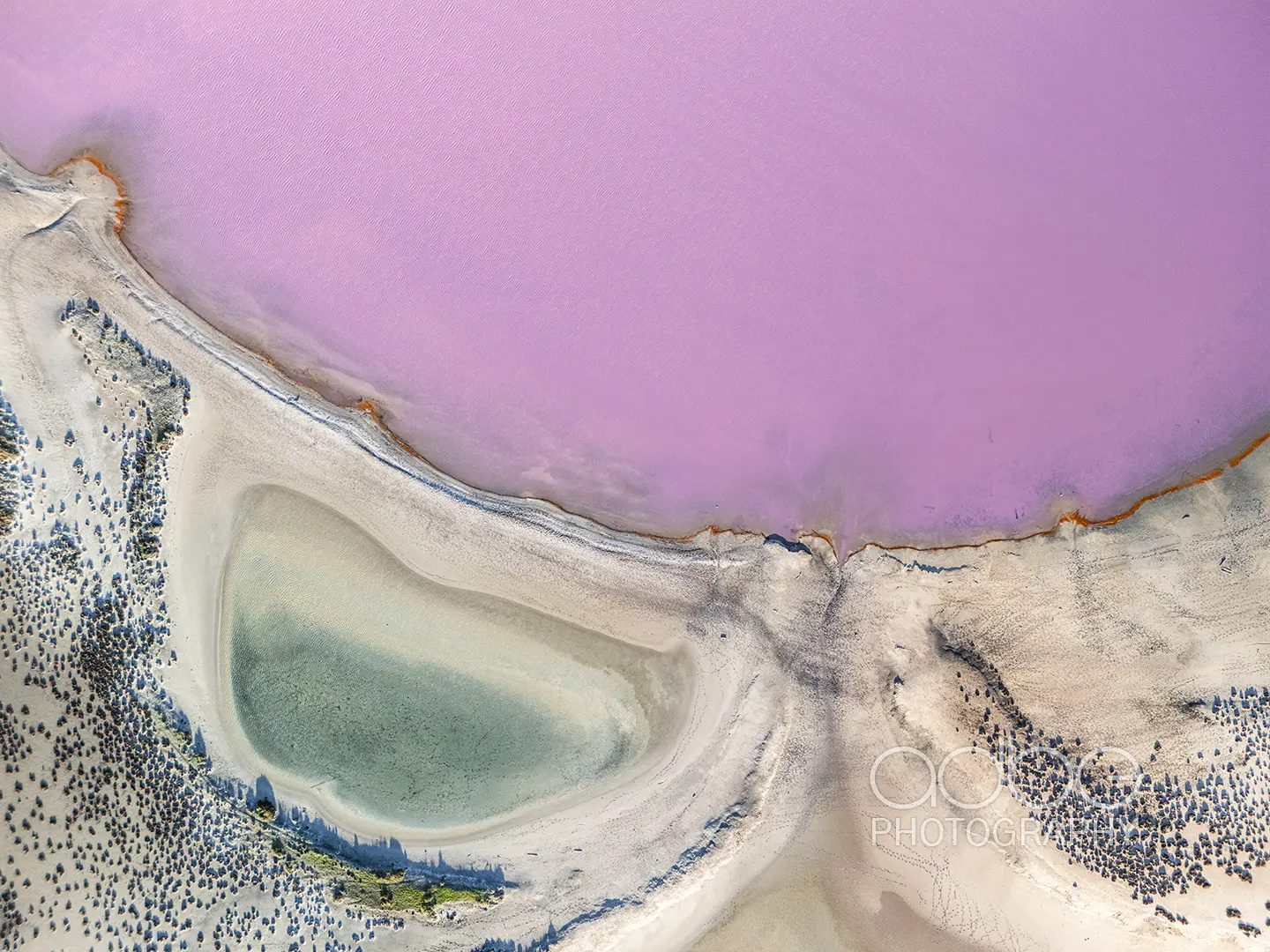 DJI_20240806082449_0349_D_-_Copy