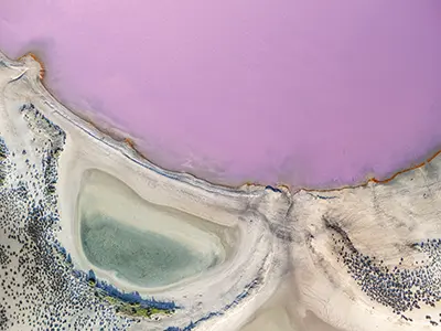 DJI_20240806082449_0349_D_-_Copy