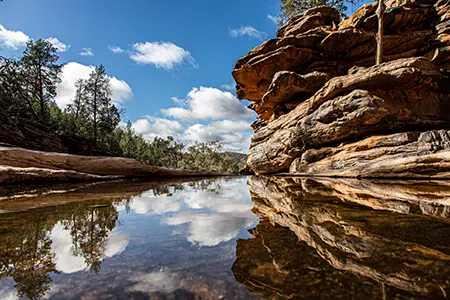 A random image from the southaustralia gallery