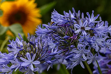 091A7041-Enhanced-NR
